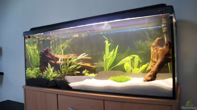 Direkt nach der Einrichtung von CeeJay (1)