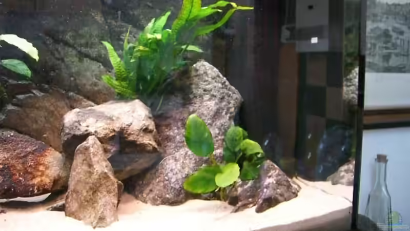 direkt nach der Einrichtung von chanty (8)