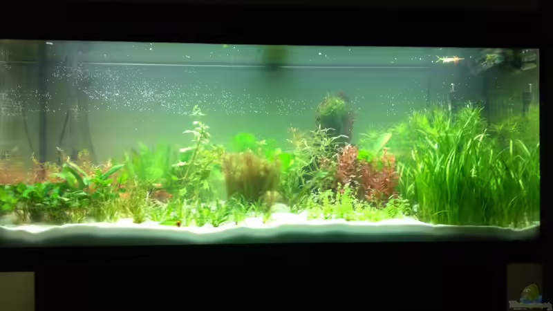 Direkt nach der Einrichtung von kellz26 (2)