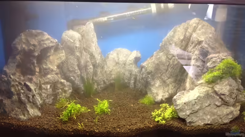 Direkt nach der Erstbefüllung von chewi86 (1)