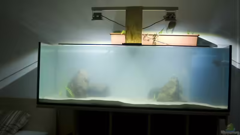 Direkt nach der Fertigstellung noch etwas trüb von Leonard Georg (3)