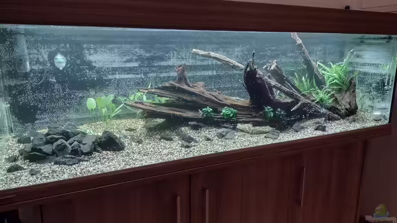 Direkt nach der Inbetriebnahme am 06.10.2021 von C-NA (3)