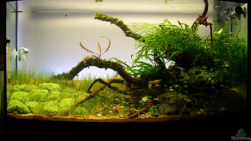 Direkt nachm Aufsetzen Mitte Oktober von Fredo Fuss (7)