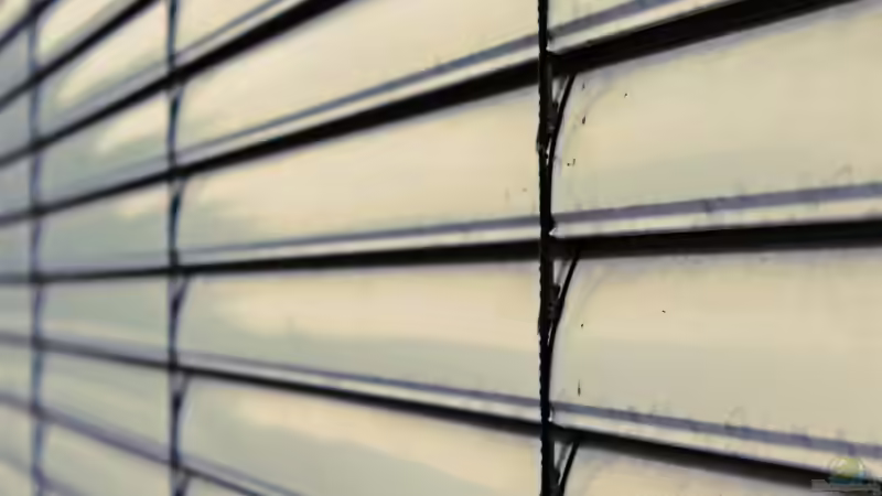 Direkte Sonnenstrahlung im Aquarium: Risiken und Schutzmaßnahmen