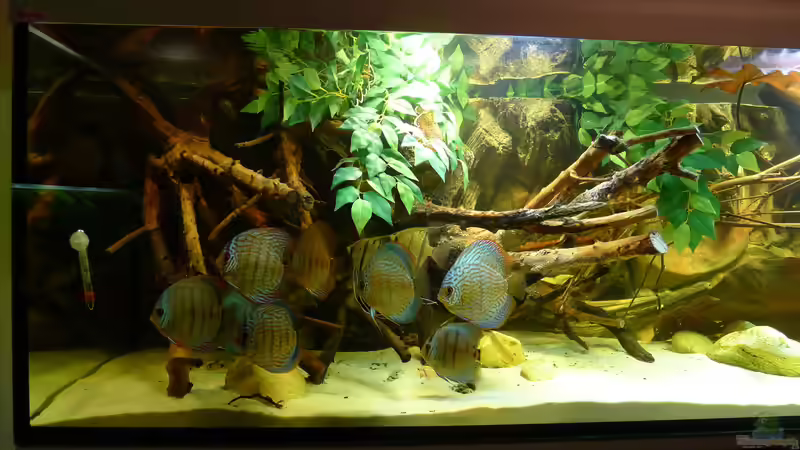 Disken am 17.10.2010 von Laura (9)