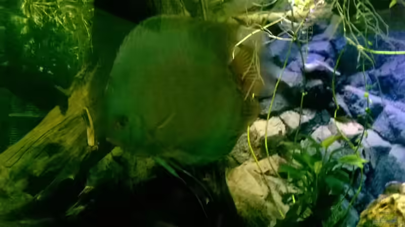 Disken bei Dämmerung  von Lars Ascher (51)