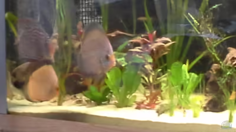 diskustraum von Michael Bodem (1)