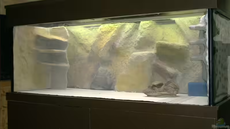 Dito. von Yvonne-Alison De Bruijne (6)