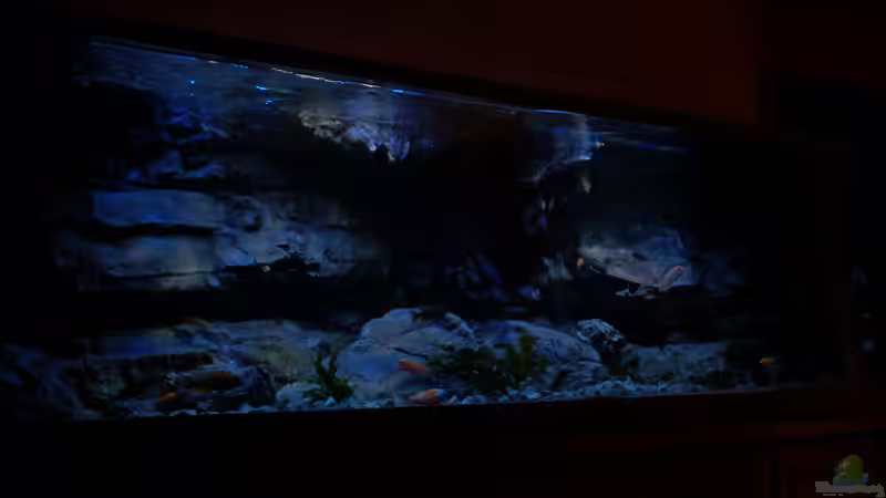 Dito von Frank Hopp (15)