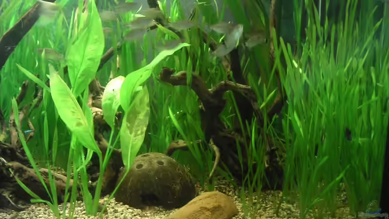 Div. Höhlen und Unterstände von Thomas Schlechter (8)