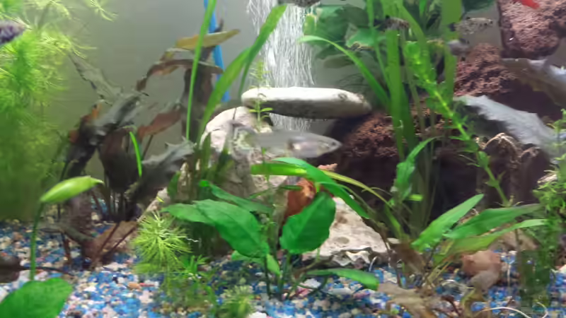 diverse Steine von mamo2000 (4)