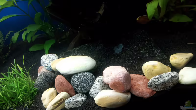 Diverse Steine von Shiml (13)