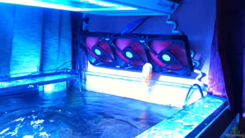 DIY - Lüftung von Flevus (12)