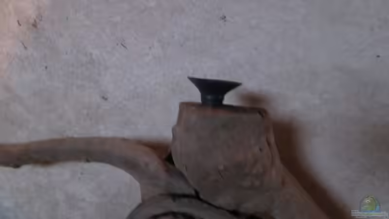 DIY Alternativen zur Rückwand!