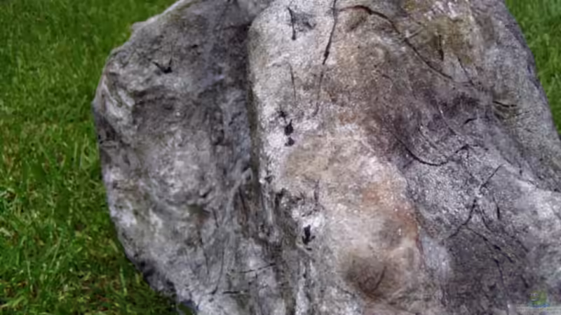 DIY modul von ivi (11)