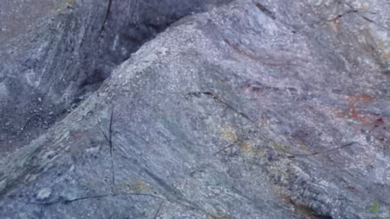 DIY modul von ivi (15)