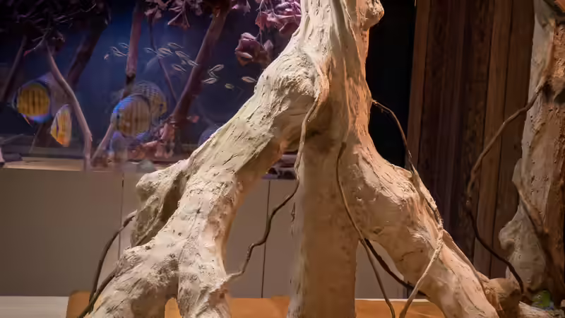 DIY Wurzel - Detailmodellage von DiskusMummy (18)