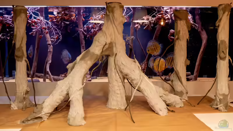 DIY Wurzel - Endergebnis Modellage von DiskusMummy (19)