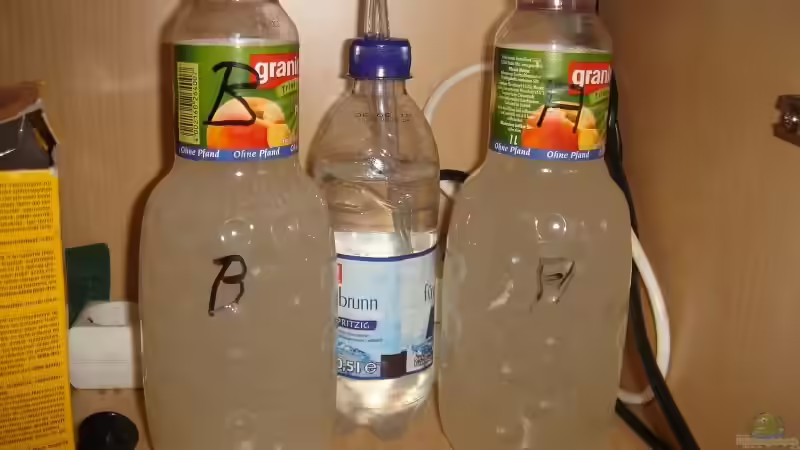 Doppel-Bio-Co2-Anlage Marke Eigenbau von Traenenreiter (9)