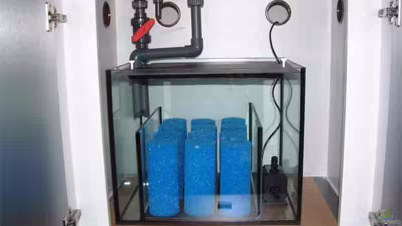 Doppelter Boden in der Filterkammer, dadurch muß das Wasser durch die runden Filterschwämme, durch den Schlitz unten gelangt es dann in die Pumpenkammer von Johann Fellner (16)