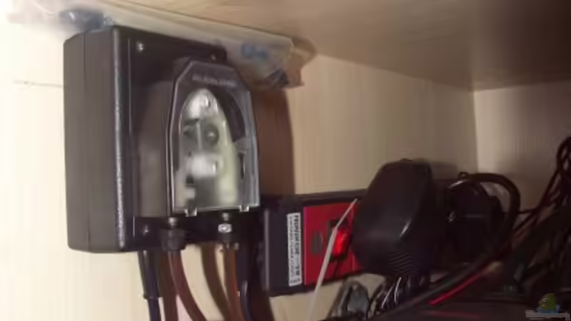 Dosierp.für Pflanzend. gesteuert über Profilux von Kai Holdinghausen (17) (32)