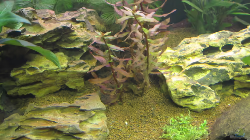 Drachen Steine von Locke1992 (15)