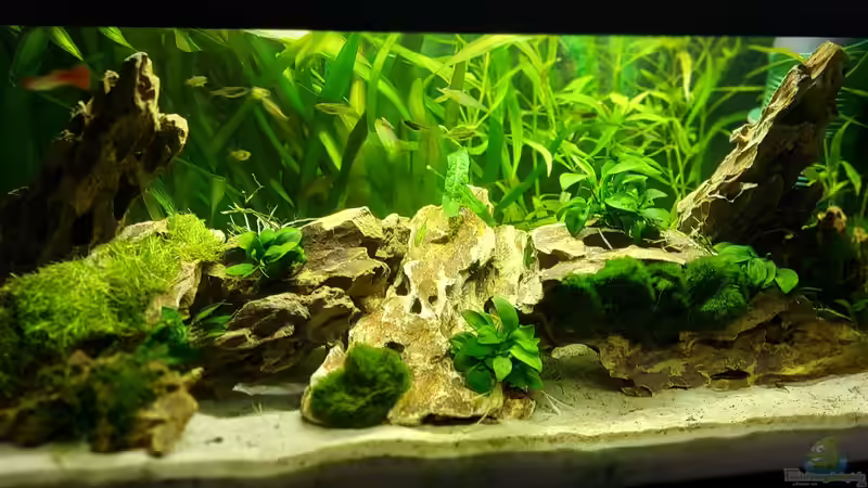 Drachenberge von Alex Rieger (1)