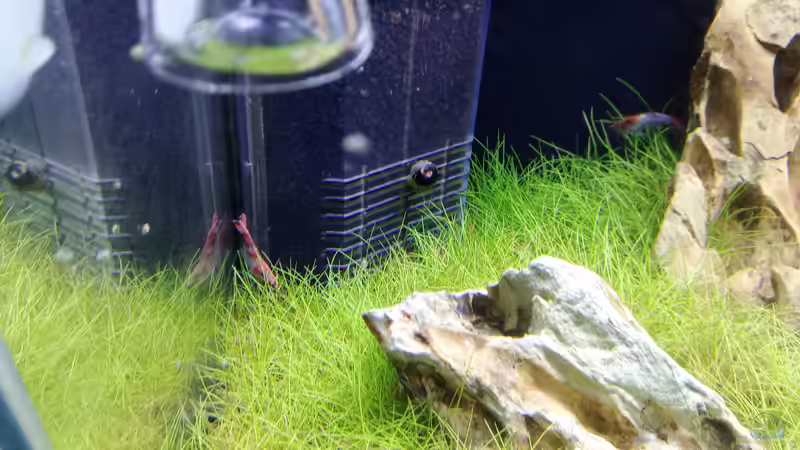 Drachengestein vorne links von Torsten Bullmahn (7)