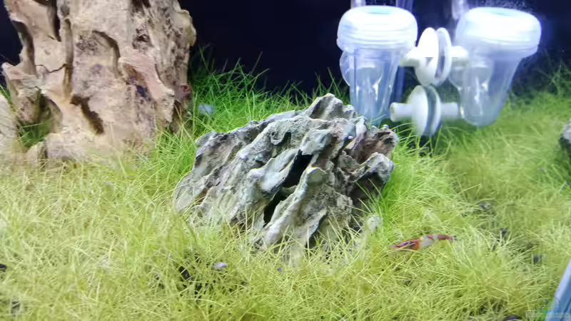 Drachengestein vorne rechts von Torsten Bullmahn (8)