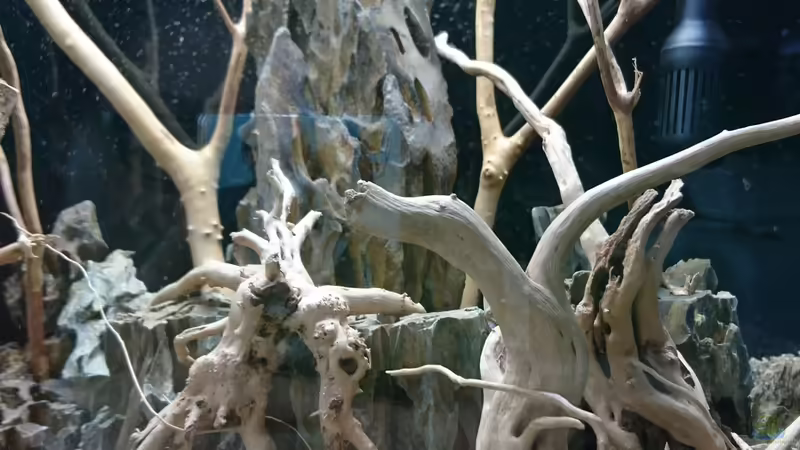 Drachenstein  von Inuki (23)