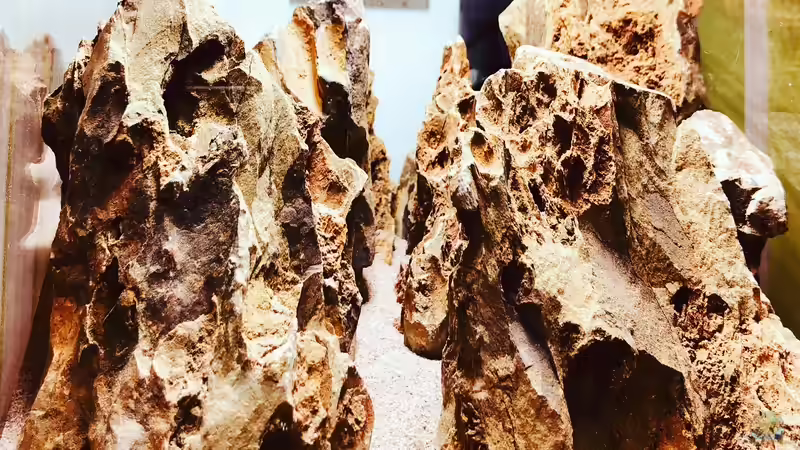 Drachenstein ´rot´ von DiskusMummy (11)