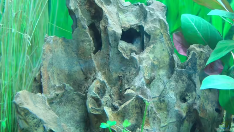 Drachenstein von Daniel Eder (16)