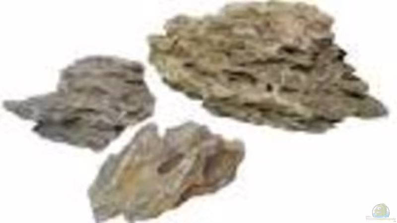 Drachenstein von Ezze (4)