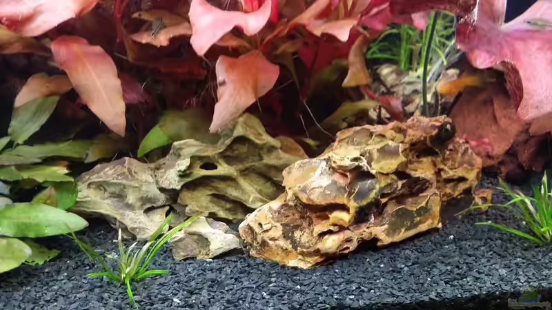 Drachensteine 1 von Anna-RS (10)