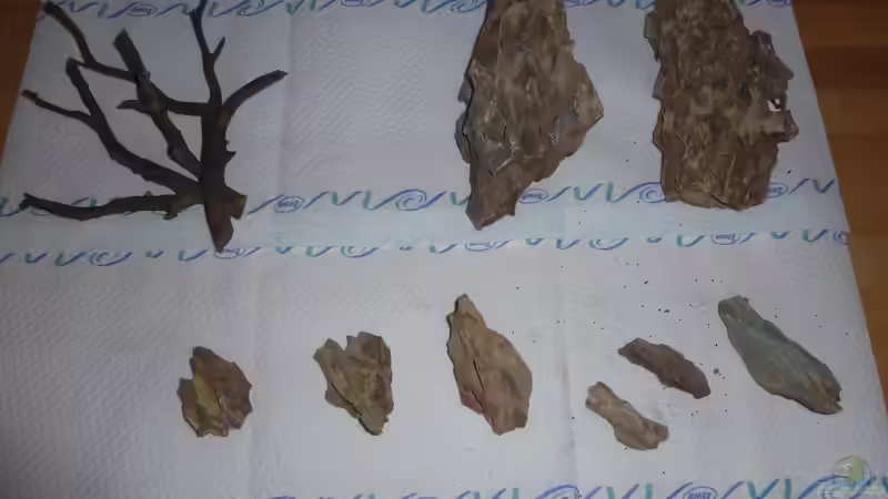 Drachensteine und Geweihwurzeln von Martin W. (16)