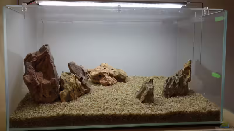 Drachensteine von Bernde (11)