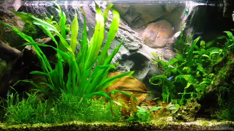 Draufsicht ;> von Sven Groth (1)