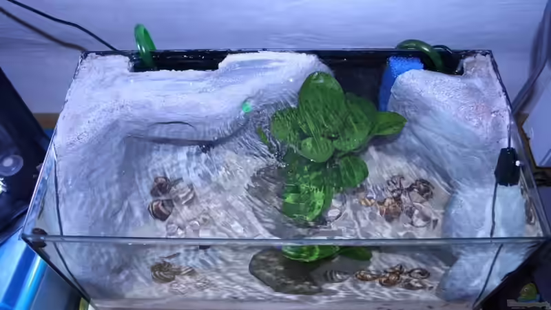 Draufsicht. Schön zu erkennen diei Anordnung der einzelnen Elemente von Marco Vasev (8)