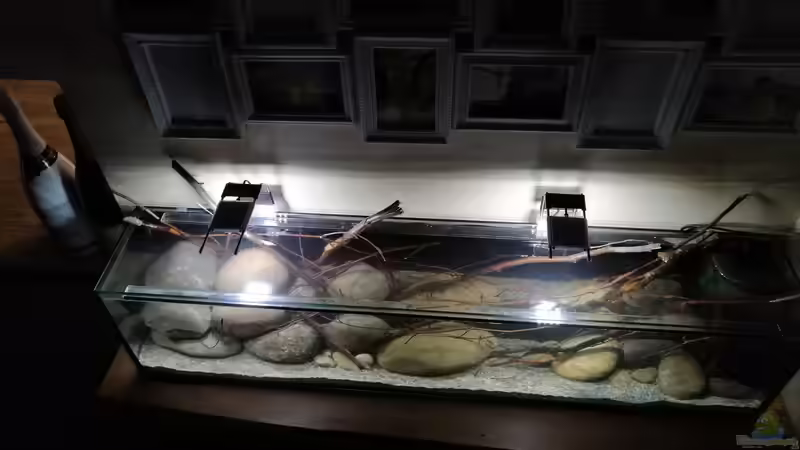 Draufsicht 03.06.2019 von Tim Buktu (4)