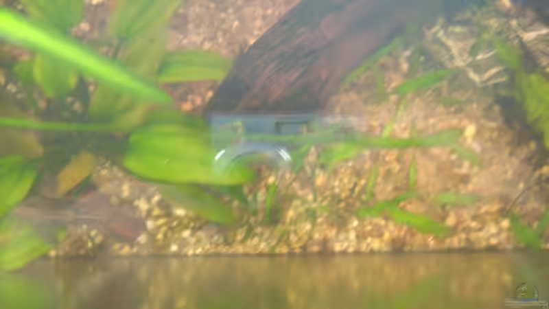 Draufsicht auf die Frontseite von @quarium Cologne (2)