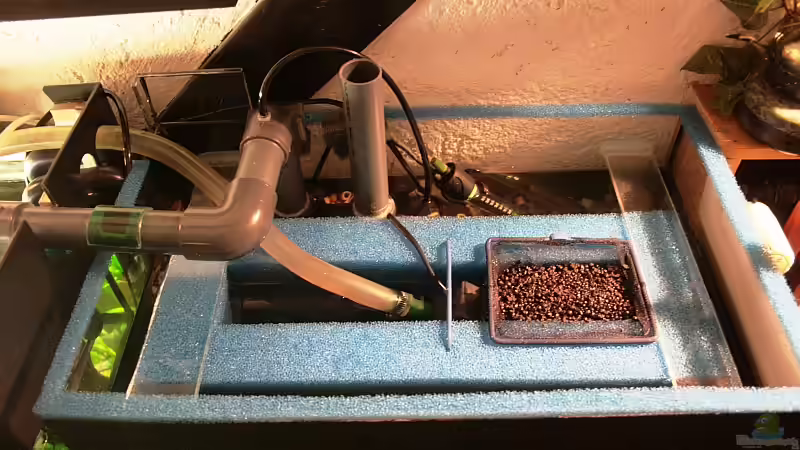 Draufsicht.Die ganze Matte ist umspült.Kein Sauerstoffverlust.Am Mattenboden noch von Grobi (22)