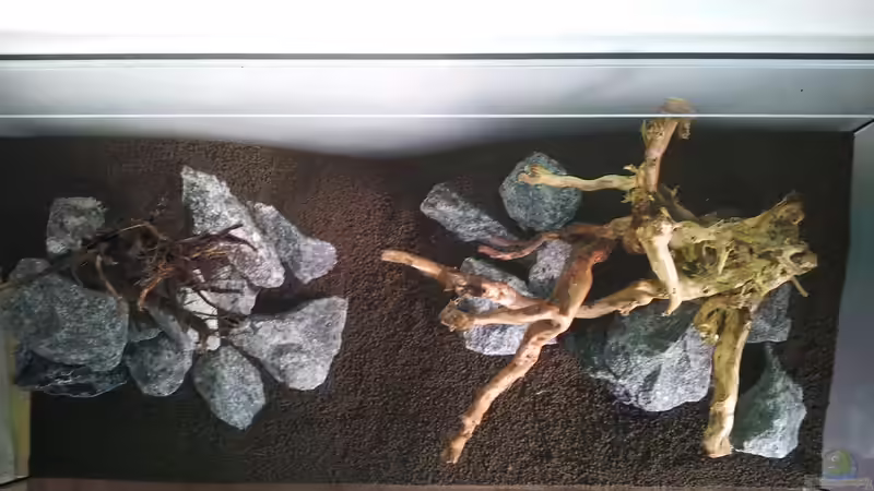 Draufsicht Layout von Martin Lange (19)