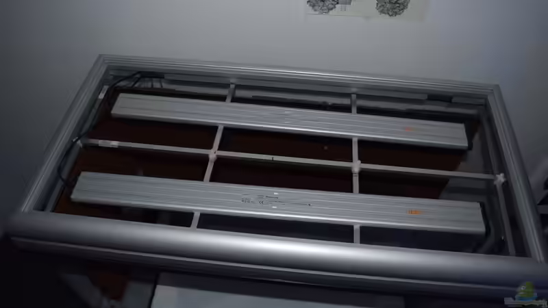 Draufsicht mit Alu-Gestell und Day-Time Cluster Beleuchtung, die einfach darauf gelegt ist von Junglist (74)