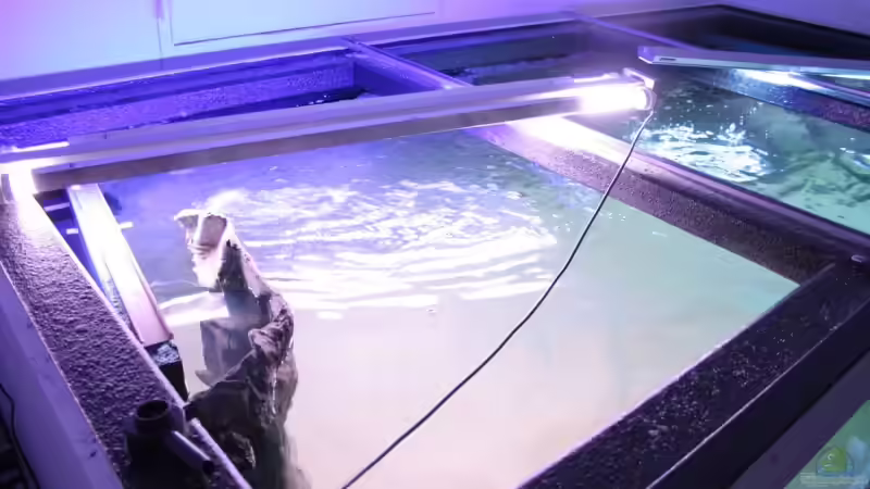 Draufsicht mit Blick auf einen der beiden HMF´s von Christian Daniel (3)