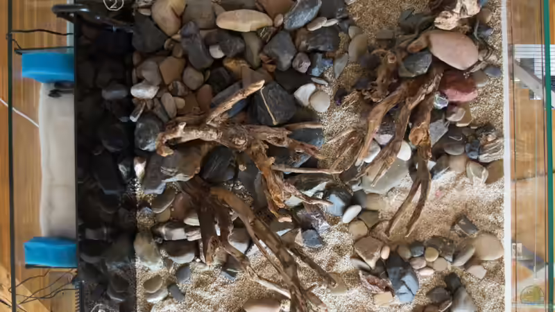 Draufsicht mit Filterkammer. Bei 1 der ??berlauf in die Kammer, bei 2 wird dann aus von Tavira2000 (16)