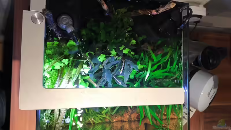 Draufsicht mit Flex Mini LED von Der Nicky (6)