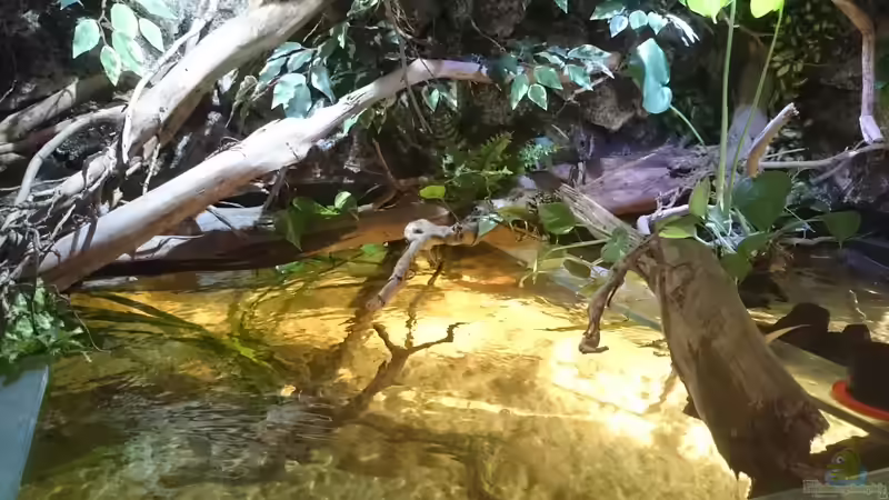 Draufsicht Mitte von Christoph Ottacher (1)