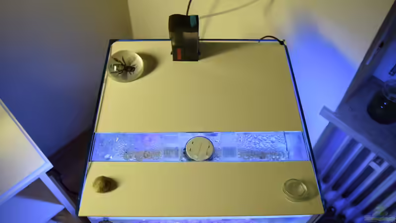 Draufsicht von Junglist (18)