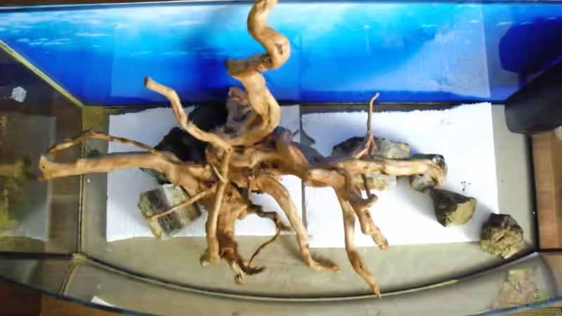 Draufsicht von MiCa (19)