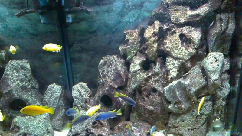 Draufsicht von Michael Grube (1)